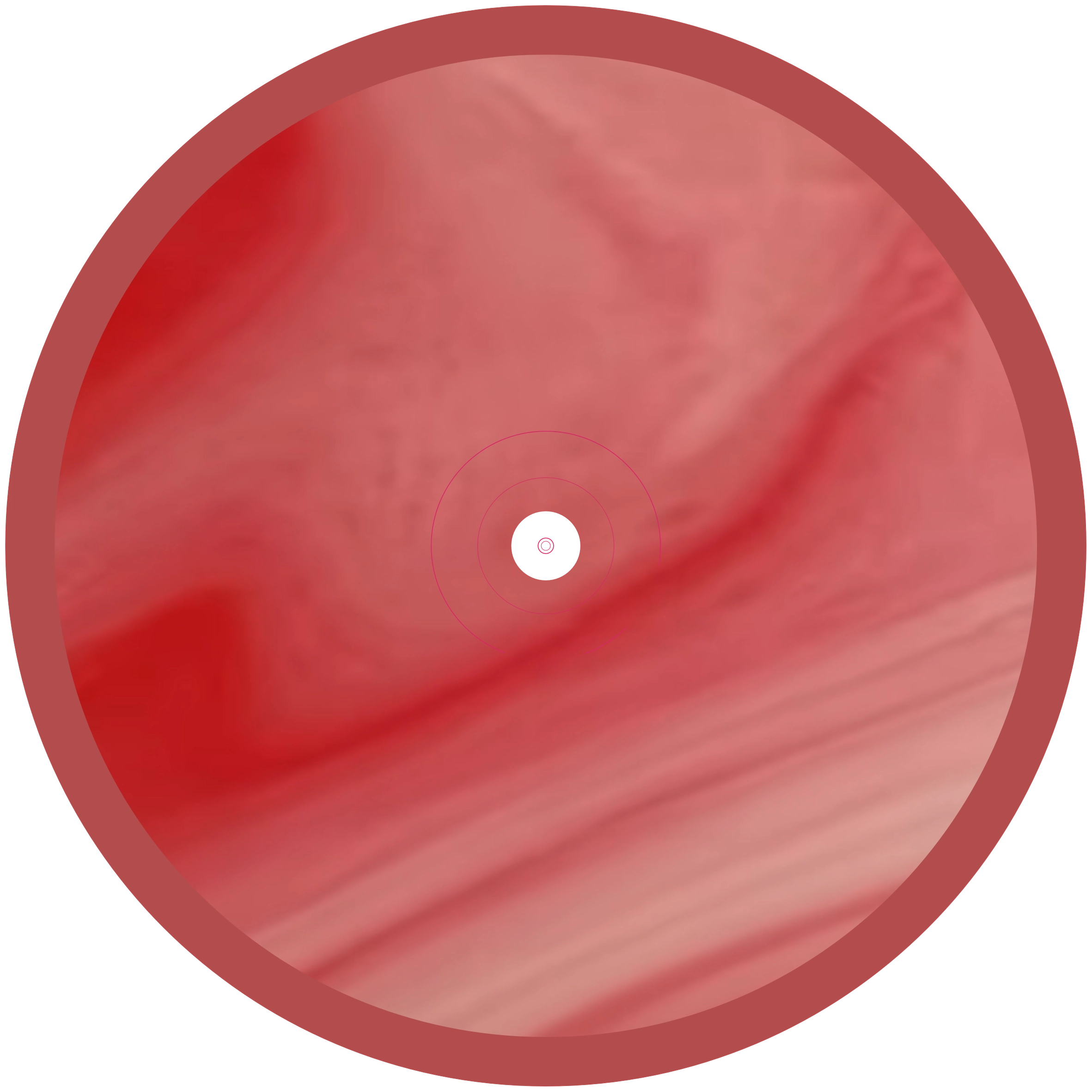 vinyl